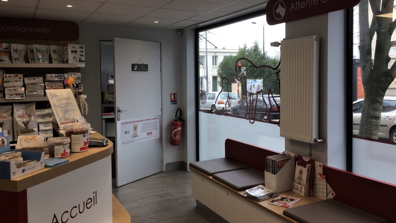 Salle d'attente chien
